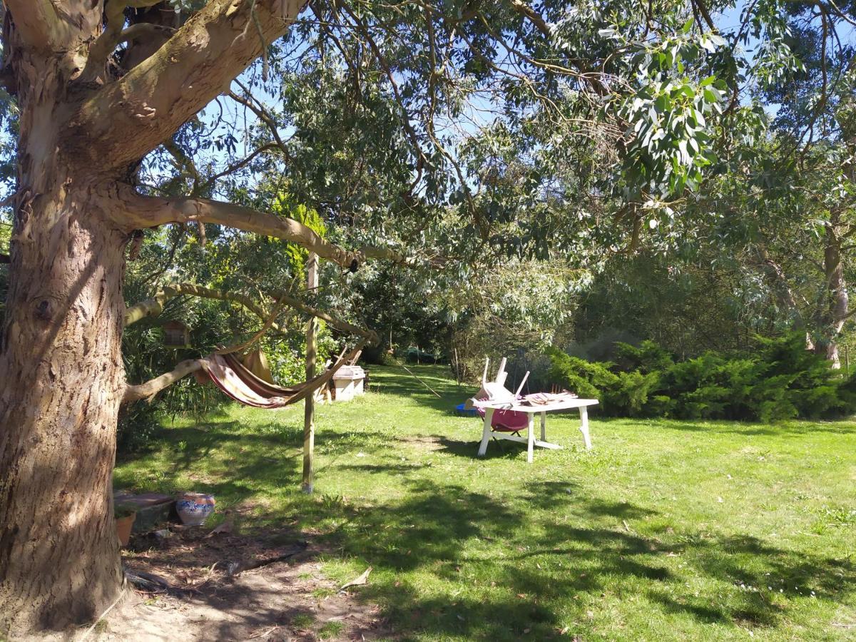 Homestay Maison En Granit Bleue *